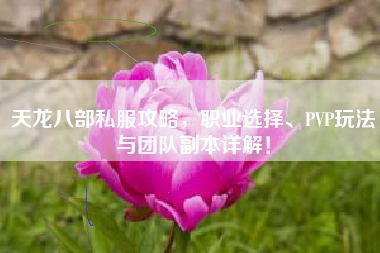 天龙八部私服攻略，职业选择、PVP玩法与团队副本详解！