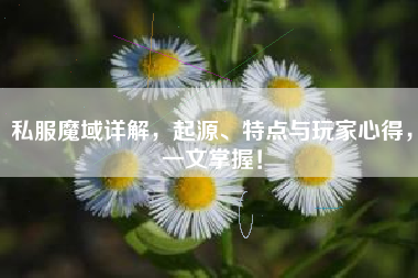 私服魔域详解，起源、特点与玩家心得，一文掌握！