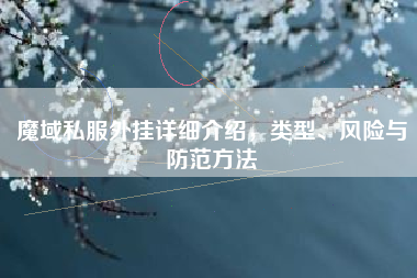 魔域私服外挂详细介绍，类型、风险与防范方法