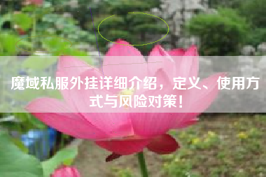 魔域私服外挂详细介绍，定义、使用方式与风险对策！