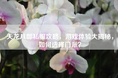 天龙八部私服攻略，游戏体验大揭秘，如何选择门派？