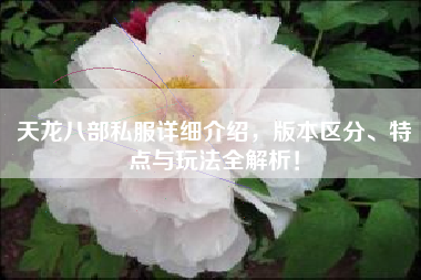 天龙八部私服详细介绍，版本区分、特点与玩法全解析！