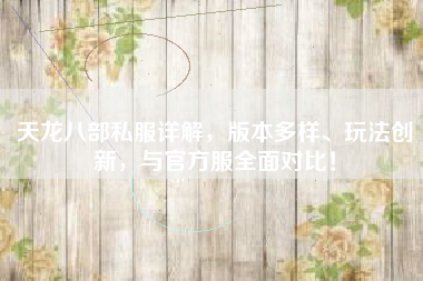 天龙八部私服详解，版本多样、玩法创新，与官方服全面对比！