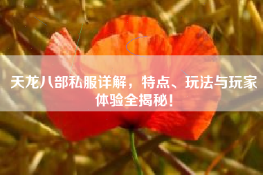 天龙八部私服详解，特点、玩法与玩家体验全揭秘！