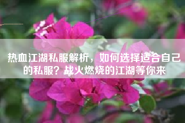 热血江湖私服解析，如何选择适合自己的私？战火燃烧的江湖等你来