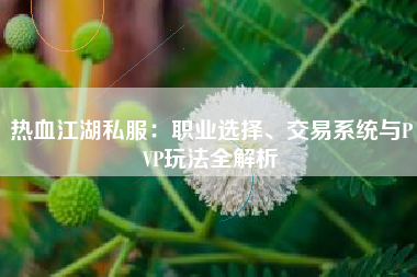 热血江湖私服：职业选择、交易系统与PVP玩法全解析  第1张