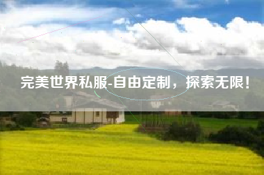  完美世界私服-自由定制，探索无限！