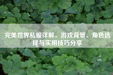  完美世界私服详解，游戏背景、角色选择与实用技巧分享
