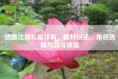 热血江湖私服详解，独特玩法、角色选择与战斗体验