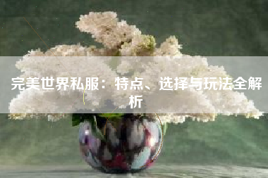  完美世界私服：特点、选择与玩法全解析