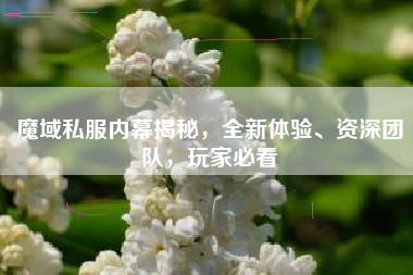 魔域私服内幕揭秘，全新体验、资深团队，玩家必看