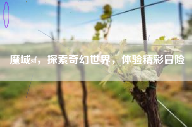 魔域sf，探索奇幻世界，体验精彩冒险