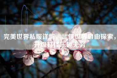  完美世界私服详解，武侠世界自由探索，升级打怪乐趣无穷