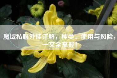 魔域私服外挂详解，种类、使用与风险，一文全掌握！
