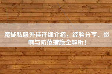 魔域私服外挂详细介绍，经验分享、影响与防范措施全解析！