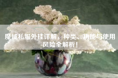 魔域私服外挂详解,种类、功能与使用风险全解析! 第1张 魔域私服外挂详解,种类、功能与使用风险全解析! 第1张