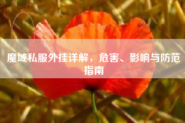 魔域私服外挂详解，危害、影响与防范指南