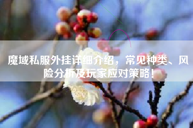 魔域私服外挂详细介绍，常见种类、风险分析及玩家应对策略！
