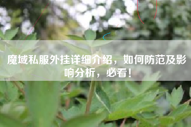 魔域私服外挂详细介绍，如何防范及影响分析，必看！