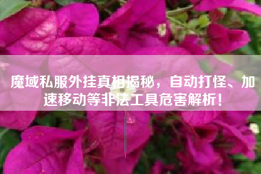 魔域私服外挂真相揭秘，自动打怪、加速移动等非法工具危害解析！