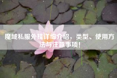 魔域私服外挂详细介绍，类型、使用方法与注意事项！