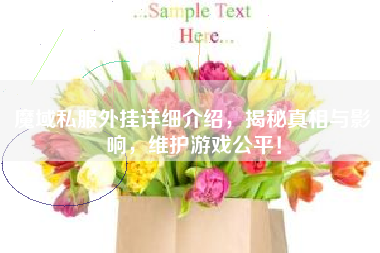 魔域私服外挂详细介绍，揭秘真相与影响，维护游戏公平！