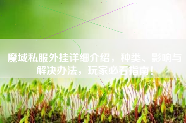 魔域私服外挂详细介绍，种类、影响与解决办法，玩家必看指南！