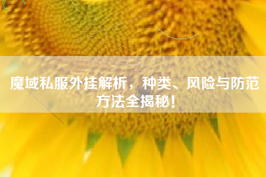 魔域私服外挂解析，种类、风险与防范方法全揭秘！