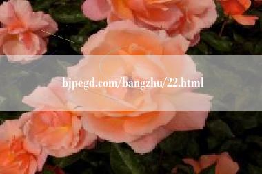 bjpegd.com/bangzhu/22.html  第1张