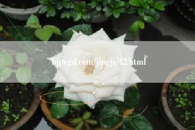 bjpegd.com/jingji/42.html