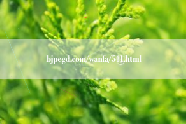 bjpegd.com/wanfa/541.html