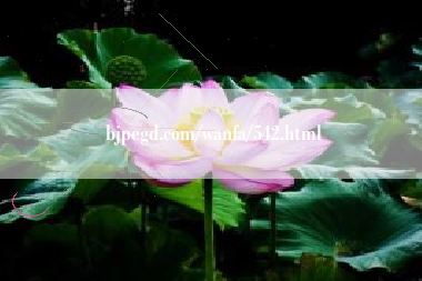 bjpegd.com/wanfa/542.html