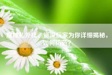 魔域私服外挂，资深玩家为你详细揭秘，如何防范？
