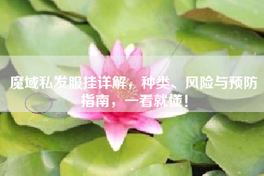 魔域私服外挂详解，种类、风险与预防指南，一看就懂！