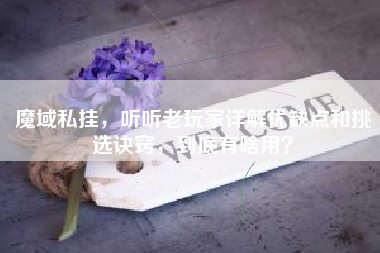 魔域私服外挂，听听老玩家详解优缺点和挑选诀窍，到底有啥用？