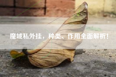 魔域私服外挂，种类、作用全面解析！