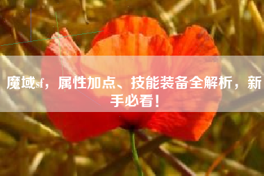魔域sf，属性加点、技能装备全解析，新手必看！