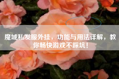 魔域私服外挂，功能与用法详解，教你畅快游戏不踩坑！