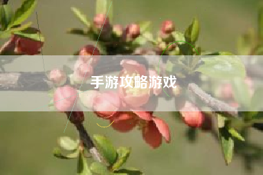 手游攻略游戏