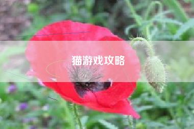 猫游戏攻略 猫游戏攻略