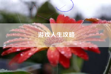 游戏人生攻略