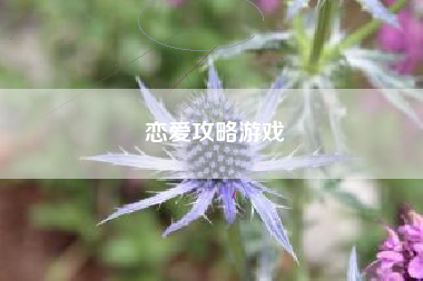 恋爱攻略游戏