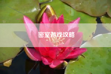 密室游戏攻略