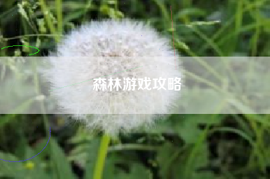 森林游戏攻略