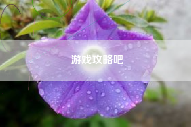 游戏攻略吧