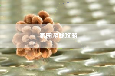 家园游戏攻略
