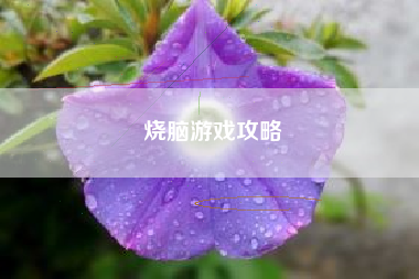 烧脑游戏攻略