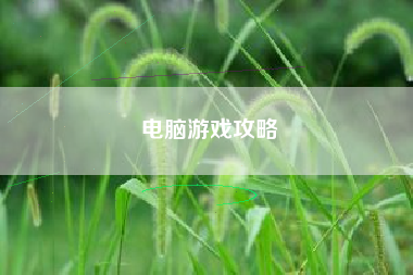 电脑游戏攻略