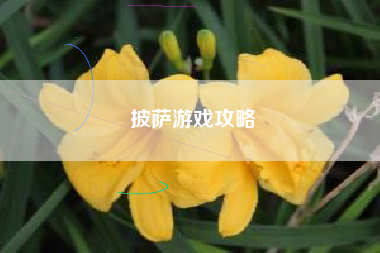 披萨游戏攻略