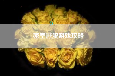 密室逃脱游戏攻略